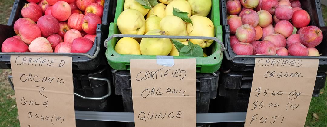 Fruit at Victor Harbor Farmers Market